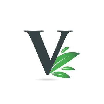 Initial Letter V Leaf Logo Stock Illustration