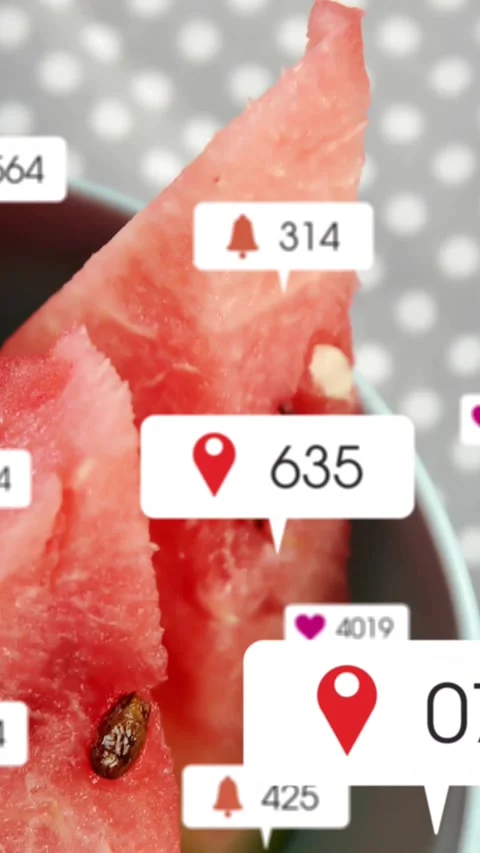 Initial location badge appearing above watermelon slice, overlays animating to Stock Footage 331738568