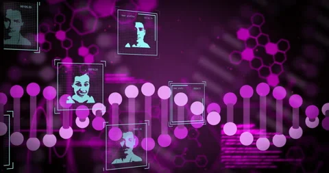 Initial portrait appearing, code scrolling, helix emerging, faces fading on Stock Footage 309895971