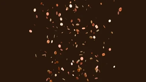 Initial release sending petal confetti falling down studio dark-brown backdrop, Stock Footage 337504990