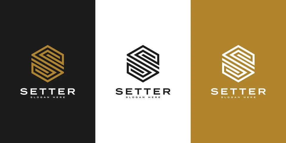 Initial S hexagon Logo design vector Stock Illustration