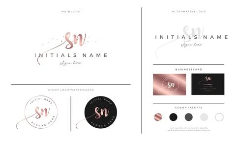 Initial SN letter S N handwriting beauty logo design Stock Illustration