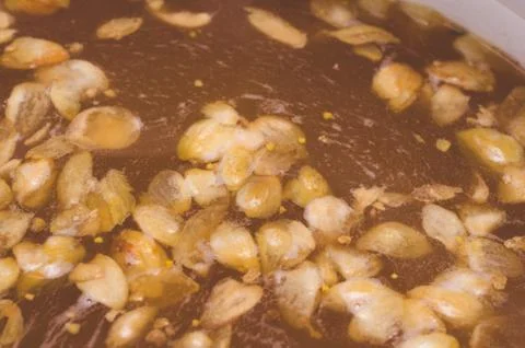 The initial stage of fermentation of craft beer with petals of hop on the sur Stock Photos