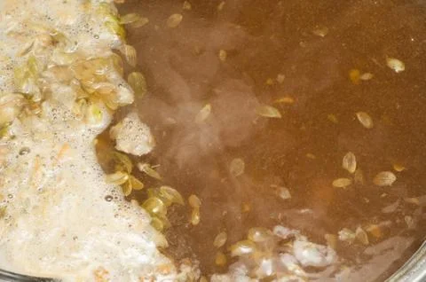 The initial stage of fermentation of craft beer with petals of hop on the sur Stock Photos