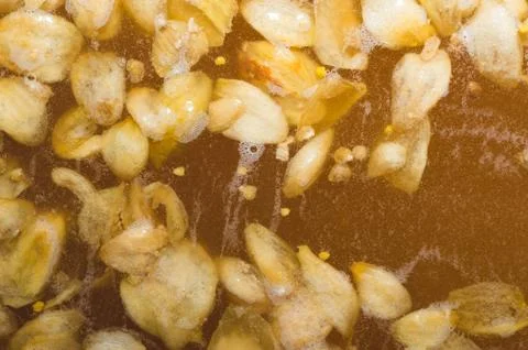 The initial stage of fermentation of craft beer with petals of hop on the sur Stock Photos