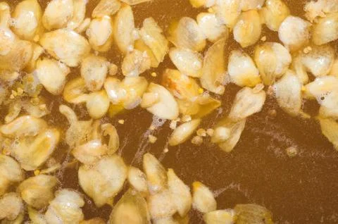 The initial stage of fermentation of craft beer with petals of hop on the sur Stock Photos