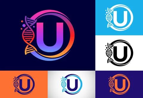 Initial U monogram alphabet in a circle with DNA. Genetics logo design conc.. Stock Illustration