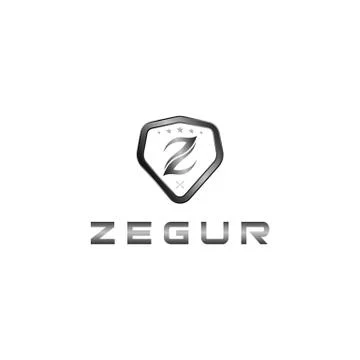 Initial Z logo design template elegant Stock Illustration