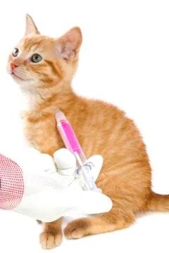 Injected with a poison Stock Photos