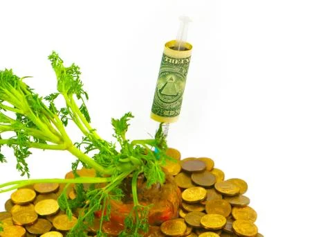 Injection of dollars into carrots Photos