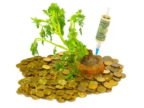 Injection of dollars into carrots Stock Photos
