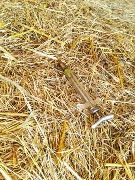 Injection needle on hay bale Foto stock