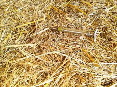 Injection needle on hay bale Foto stock