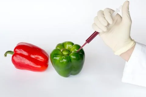 Injection into peppers Stock Photos