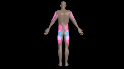 Injection sites on body . Back View 3d rendering Stock Footage 107829129