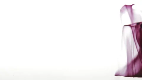 INK-2 Video stock 306763350