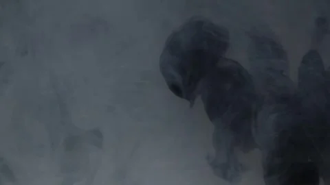 INK-5 Stock Footage 306763340