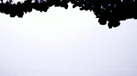 Ink 720/30p Stock Footage 12284957