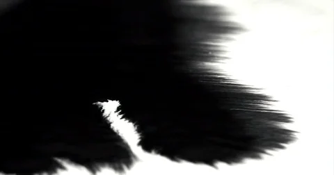 Ink absorbing into parchment paper. Calligraphy ink bleed concept Vídeo Stock 73148955