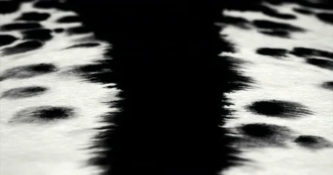 Ink absorbing into parchment paper. Calligraphy ink bleed concept Stock Footage