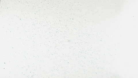 Ink abstract background grain stroke texture white Stock Footage 134878336