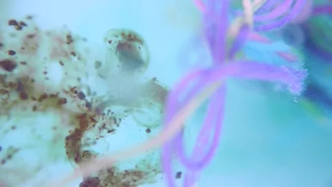 Ink Background And Colored Threads Stock Footage 75397151