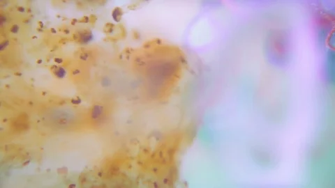 Ink Background And Colored Threads Stock Footage 75397218