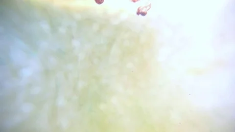 Ink Background Rain Stock Footage 75396606