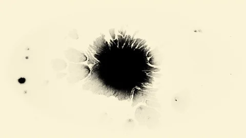 Ink bleed, blots. Beautiful black watercolor ink drops transition Stock Footage 124043059
