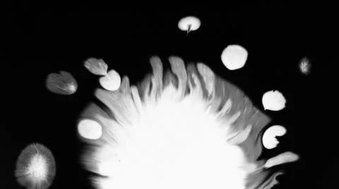 Ink Bleeding Vidéo 24685086