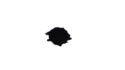 Ink Bleeds. Ink Blots. Drops. Stock Footage 79806212