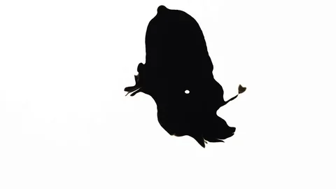Ink Bleeds. Ink Blots. Drops. Stock Footage 79806261