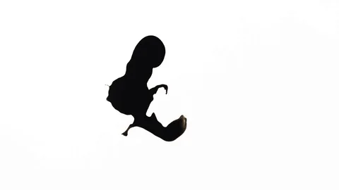 Ink Bleeds. Ink Blots. Drops. Stock Footage 79806280
