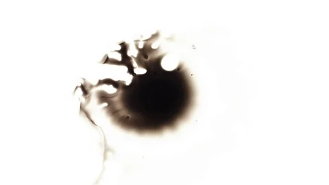 Ink Bleeds. Ink Blots. Drops. Stock Footage 79806324