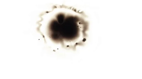 Ink Bleeds. Ink Blots. Drops. Stock Footage 79806367