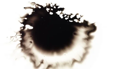 Ink Bleeds. Ink Blots. Drops. Stock Footage 79806372