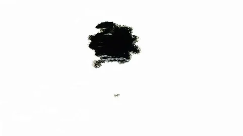 Ink Bleeds. Ink Blots. Drops. Stock Footage 79806429