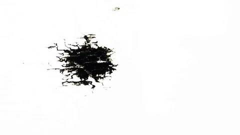 Ink Bleeds. Ink Blots. Drops. Stock Footage 79806444