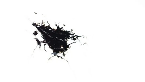 Ink Bleeds. Ink Blots. Drops. Stock Footage 79806445