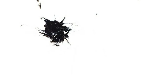 Ink Bleeds. Ink Blots. Drops. Stock Footage 79806452