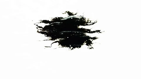 Ink Bleeds. Ink Blots. Drops. Stock Footage 79806476