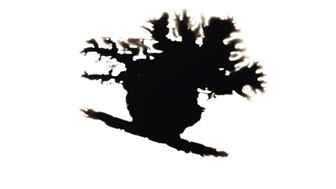 Ink Bleeds. Ink Blots. Drops. Stock Footage 79806504