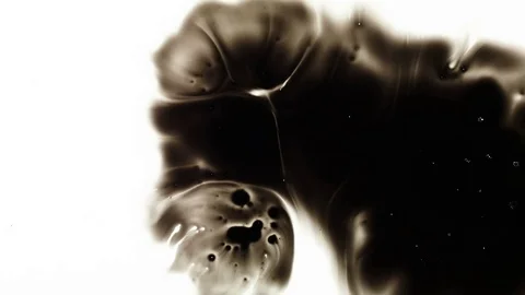 Ink Bleeds. Ink Blots. Drops. Stock Footage 79806505