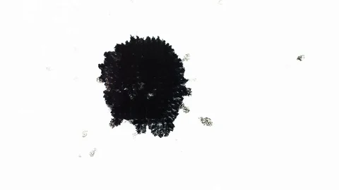 Ink Bleeds. Ink Blots. Drops. Stock Footage 79806530