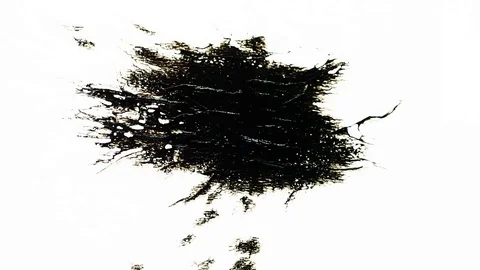 Ink Bleeds. Ink Blots. Drops. Stock Footage 79806552