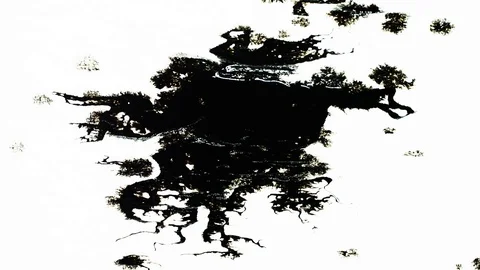 Ink Bleeds. Ink Blots. Drops. Stock Footage 79806556