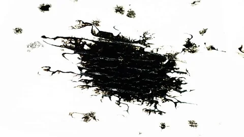 Ink Bleeds. Ink Blots. Drops. Vídeo Stock 79806560