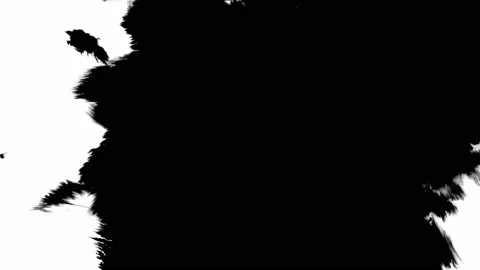 Ink bloom. black ink blots on isolated white background. ink drops transition Stock Footage 148342398