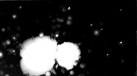 Ink Bloom Video stock 29672027