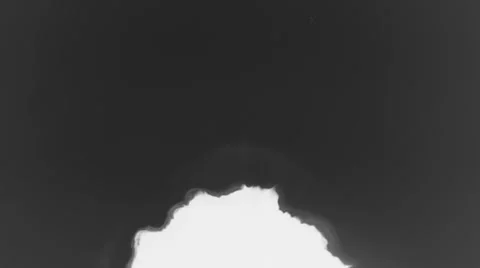 Ink Bloom Video stock 33733319